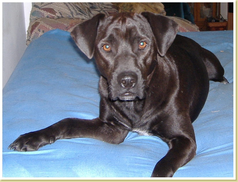 DSCF0797