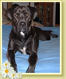 DSCF0794