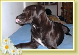 DSCF0796