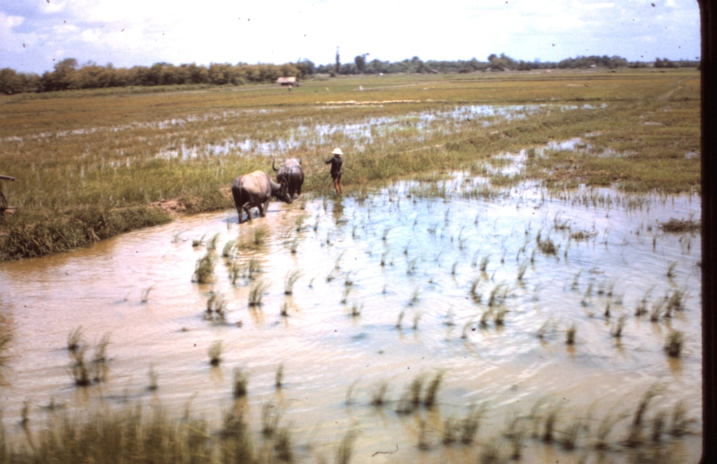 Original image